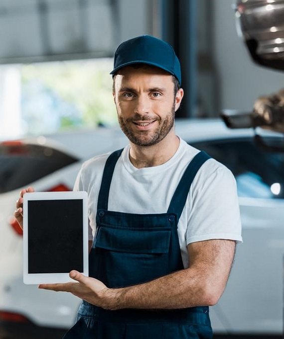 Inspektor Profesional